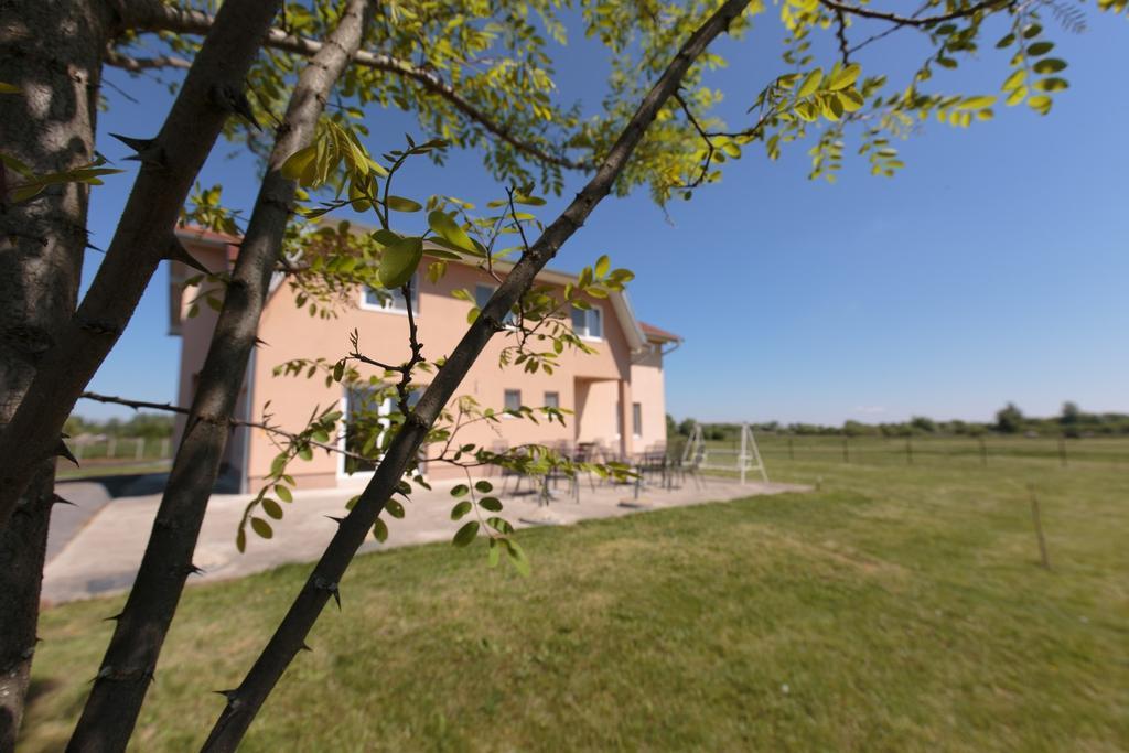 Guesthouse Capistro Bilje Exteriér fotografie